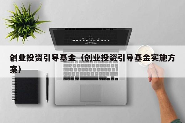 创业投资引导基金（创业投资引导基金实施方案）