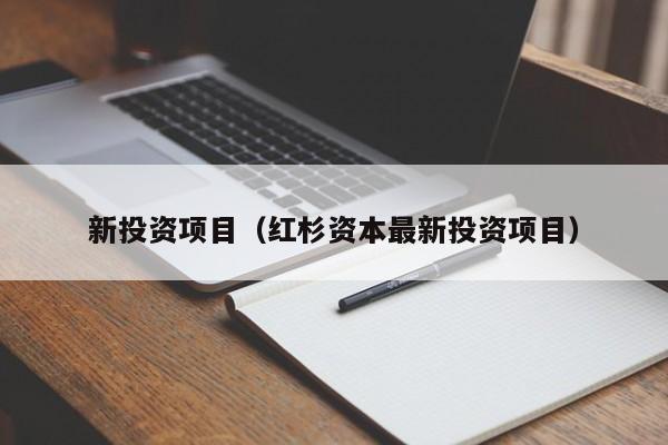新投资项目（红杉资本最新投资项目）