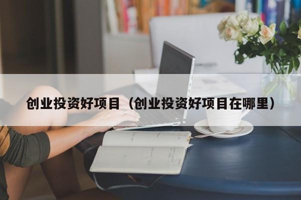 创业投资好项目（创业投资好项目在哪里）