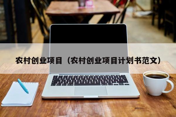 农村创业项目（农村创业项目计划书范文）