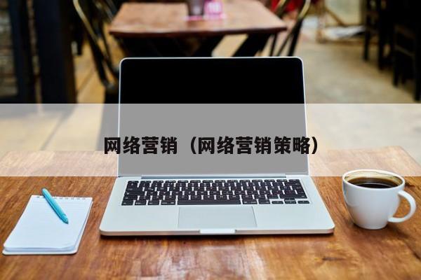 网络营销（网络营销策略）