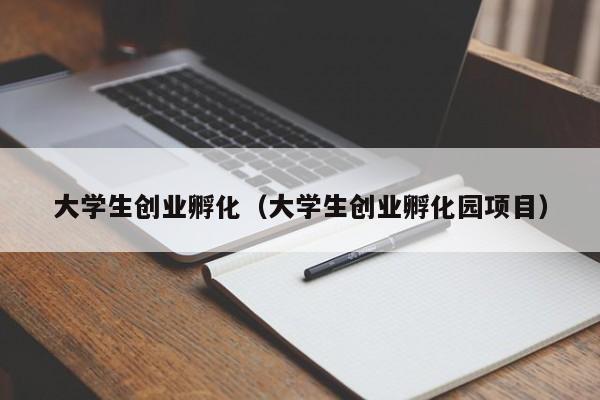 大学生创业孵化（大学生创业孵化园项目）