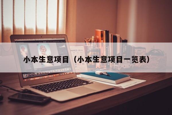 小本生意项目（小本生意项目一览表）