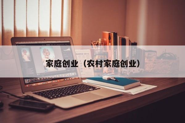 家庭创业（农村家庭创业）