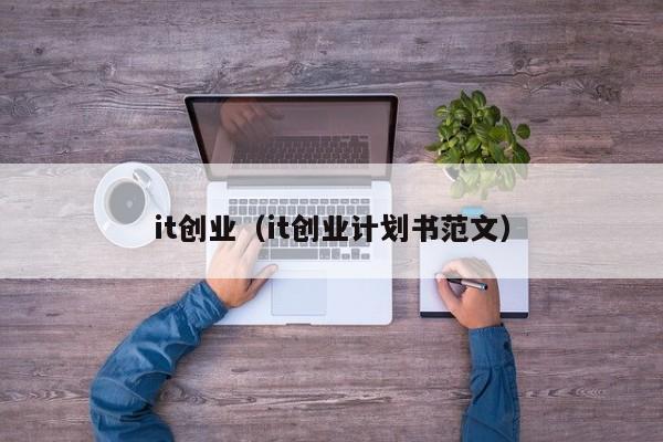 it创业（it创业计划书范文）