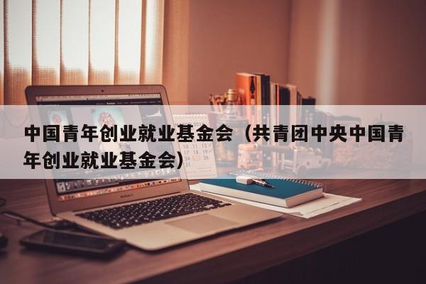 中国青年创业就业基金会（共青团中央中国青年创业就业基金会）
