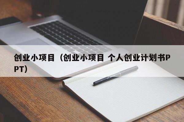 创业小项目（创业小项目 个人创业计划书PPT）