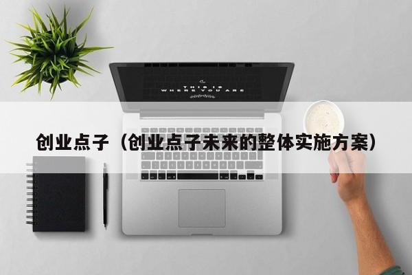 创业点子（创业点子未来的整体实施方案）
