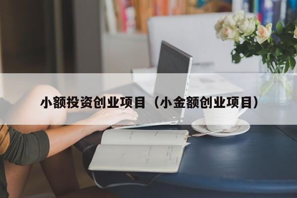 小额投资创业项目（小金额创业项目）