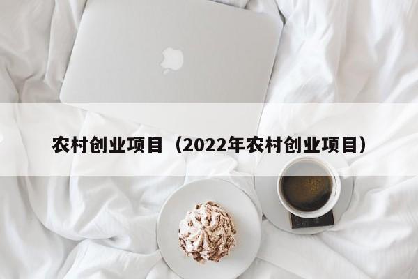 农村创业项目（2022年农村创业项目）