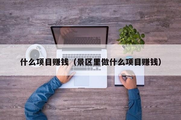 什么项目赚钱（景区里做什么项目赚钱）