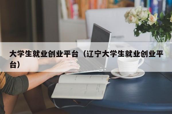 大学生就业创业平台（辽宁大学生就业创业平台）