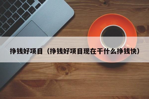 挣钱好项目（挣钱好项目现在干什么挣钱快）