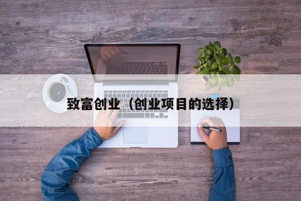 致富创业（创业项目的选择）