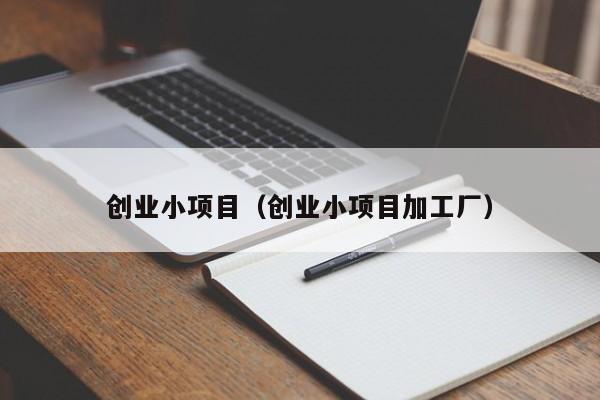创业小项目（创业小项目加工厂）