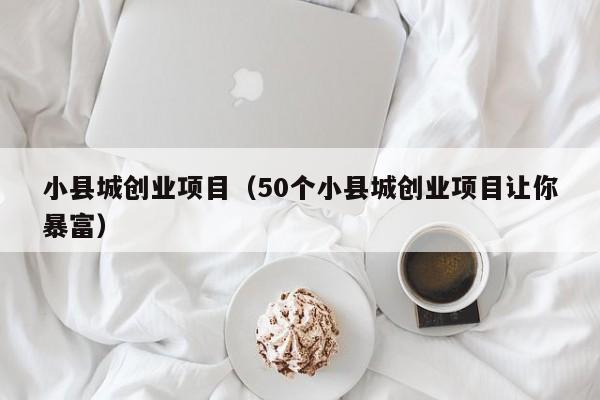 小县城创业项目（50个小县城创业项目让你暴富）