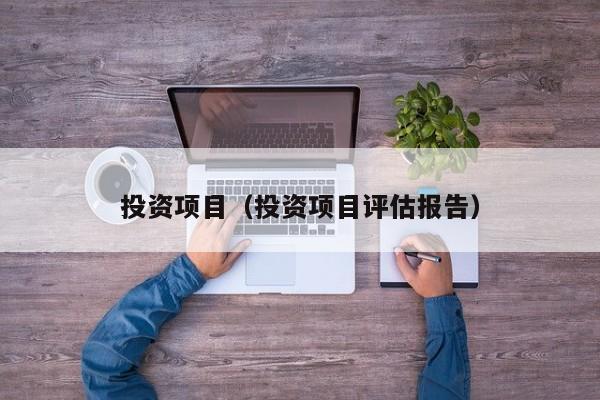 投资项目（投资项目评估报告）