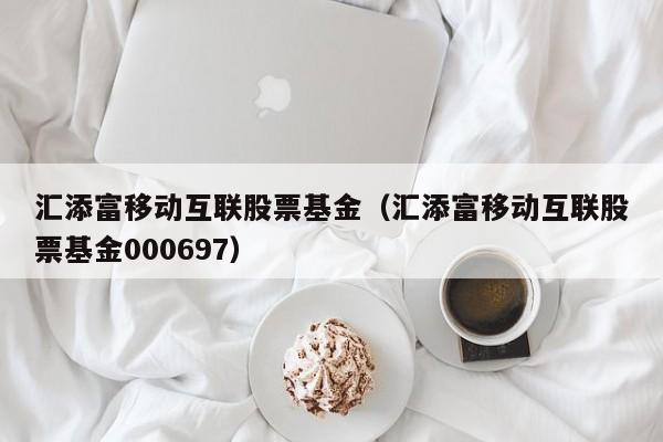 汇添富移动互联股票基金(汇添富移动互联股票基金000697)
