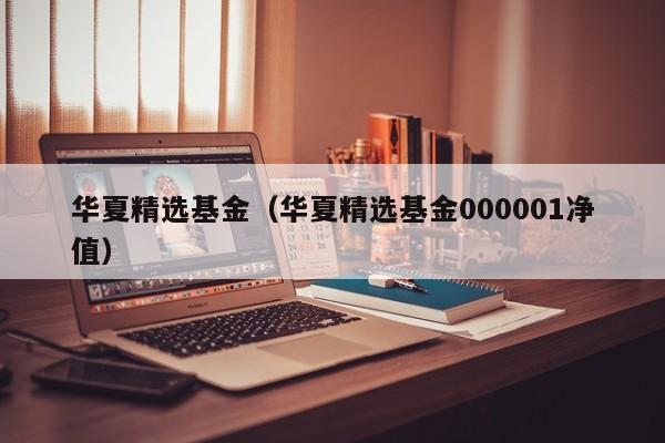 华夏精选基金(华夏精选基金000001净值)