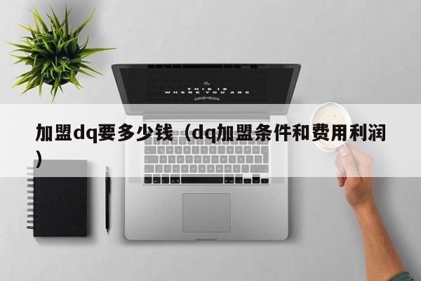 加盟dq要多少钱（dq加盟条件和费用利润）