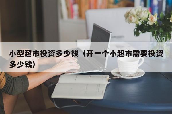 小型超市投资多少钱（开一个小超市需要投资多少钱）