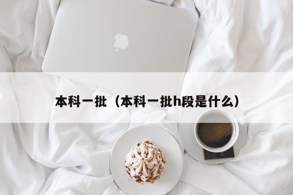 本科一批(本科一批h段是什么)