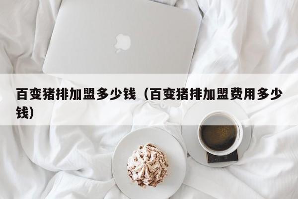 百变猪排加盟多少钱（百变猪排加盟费用多少钱）