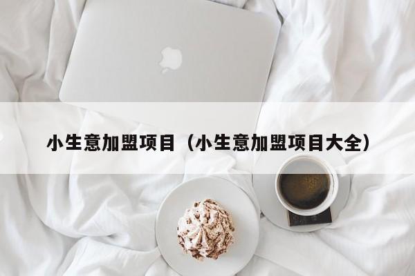 小生意加盟项目（小生意加盟项目大全）