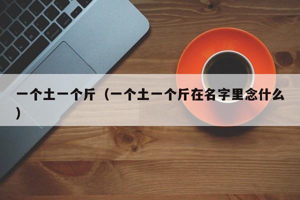 一个土一个斤(一个土一个斤在名字里念什么)