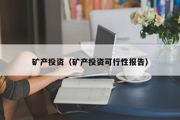 矿产投资（矿产投资可行性报告）