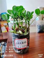 国产生物腐植酸做“美容液” 今日 推荐