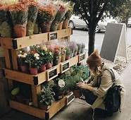 花店这个行业如何 揭秘花店暴利真相