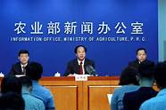 农村2019返乡创业潮 多半是这几类人回农村