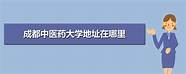 成都中医药大学最好的专业(成都中医药大学的王牌专业排名)