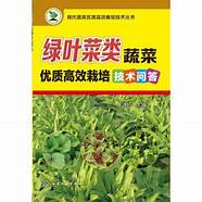 种植蔬菜的创业计划书怎么写?(菜园创业计划书)