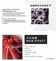 涉嫌传销 代理商曝“洗脑套路”