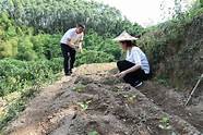农村创业成功案例与成功案例