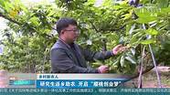 新农村创业致富出路多(农村致富新农人)