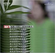 母女、父子、夫妻 但还有一个共同的身份 老师