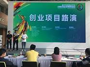 创业活动与创业