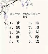 他的名字他的名字叫中国(你的名字)