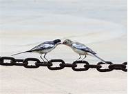 寿光一中2016级(寿光一中2015级)