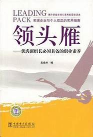 2020农村领头雁培训(农村领头雁培训班总结)
