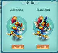 宠物店投资收益(宠物店投资回报分析)