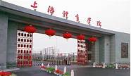 上海师范体育生(上海师范大学有体育专业吗)