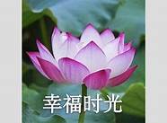 适合年轻人的小成本创业项目推荐 普通人也能做的不起小生意推荐