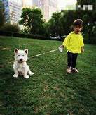 儿子曾被邀拍戏霍思燕拒绝 霍思燕则意外道出杜江的家庭地位