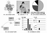 2019年“互联网 多举措共营良好网络生态