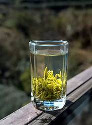 绿叶的美好品质(绿叶优秀品质)