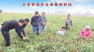 严守产品质量 积极创新研发 助力乡村振兴